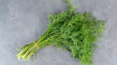 garnishing-instructions-image